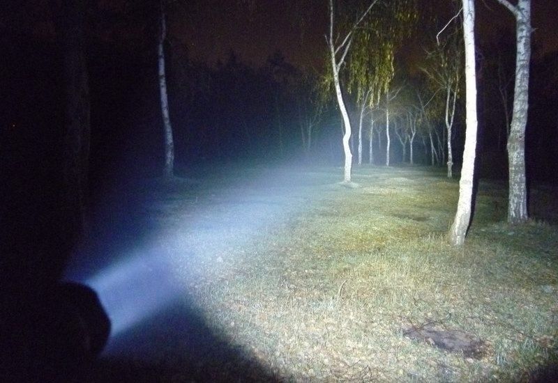 Поисковый фонарь в лесу