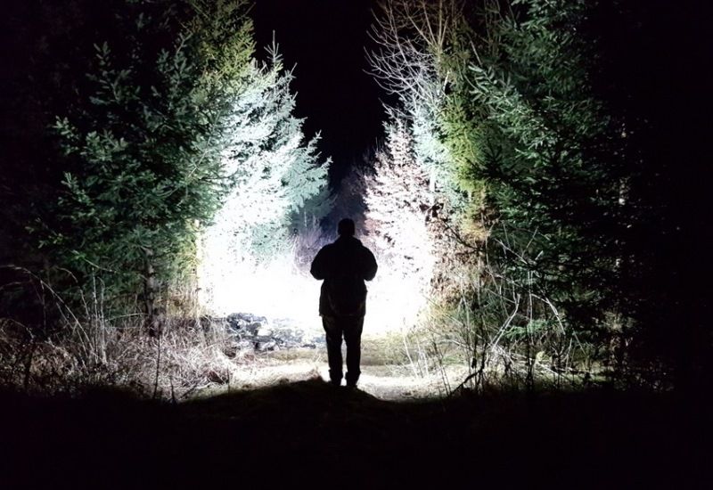 Поисковый фонарь в лесу